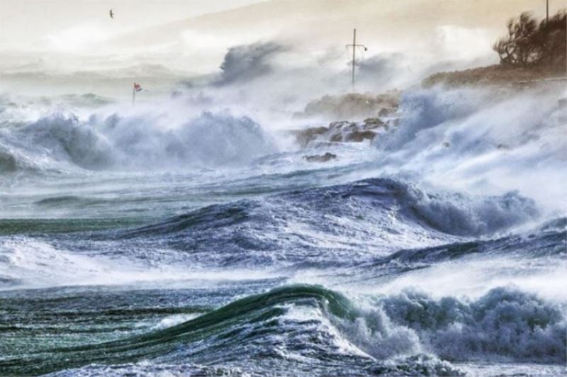 Dünya Meteoroloji Örgütü