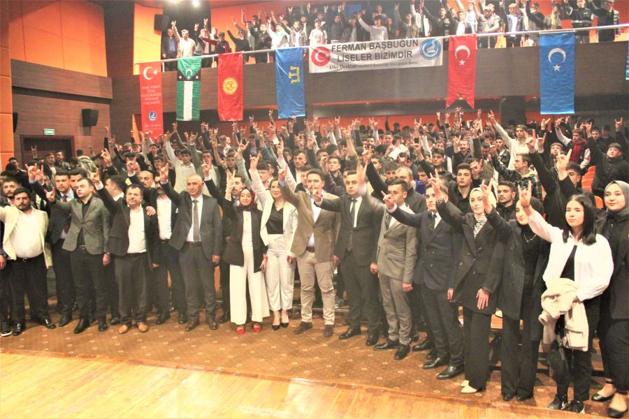 Ülkücü  gençler, MHP’li Bozkurtlar